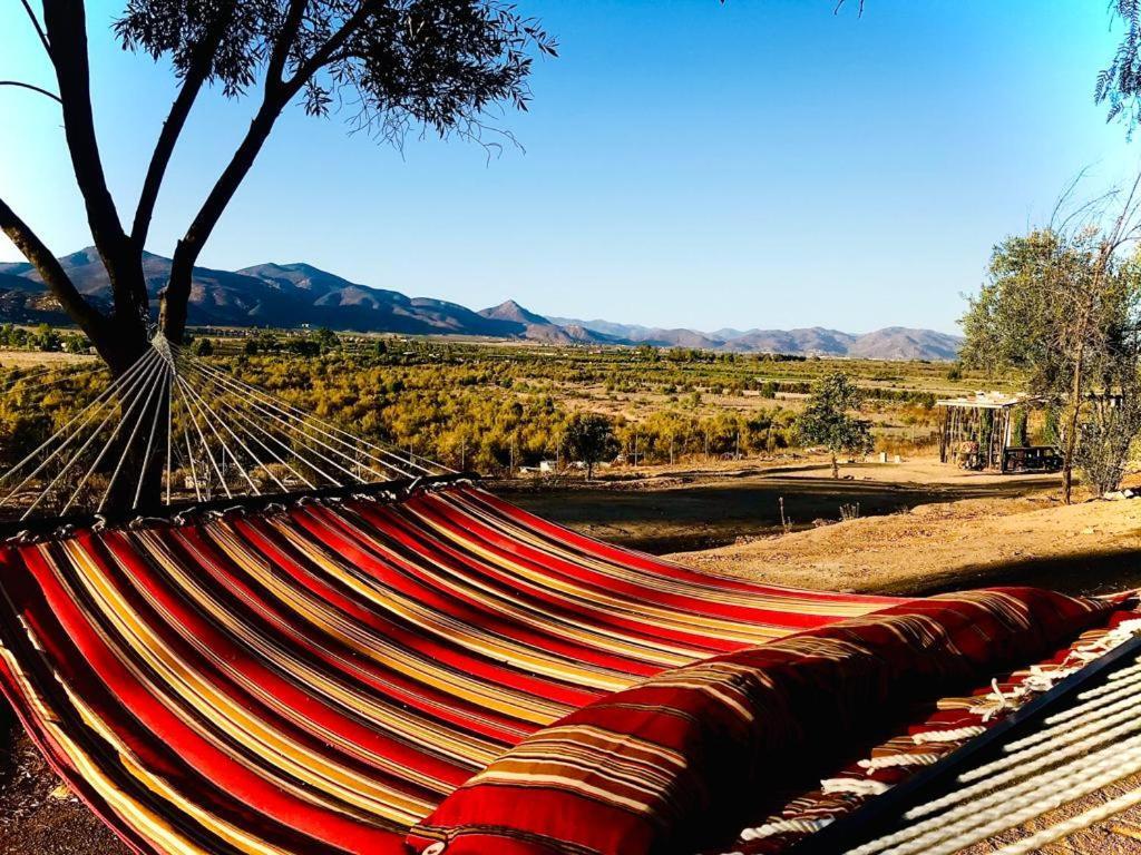 Villa Terra Monarca Valle de Guadalupe Exterior foto